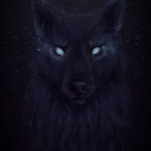 Meet your Posher, Lamar